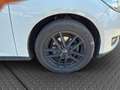 Ford Focus Kombi 1.6 Winterpaket Weiß - thumbnail 18