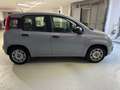 Fiat Panda Panda III 1.0 firefly hybrid s Grigio - thumbnail 5