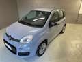 Fiat Panda Panda III 1.0 firefly hybrid s Grigio - thumbnail 1