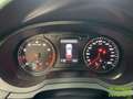 Audi Q3 (8U) Quattro 2.0 TFSI 16V S Tronic7 Rot - thumbnail 19