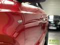 Audi Q3 (8U) Quattro 2.0 TFSI 16V S Tronic7 Rot - thumbnail 16