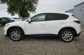 Mazda CX-5 Sports-Line AWD |aus 1.Hand| |KD gepflegt| Weiß - thumbnail 27