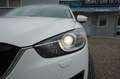 Mazda CX-5 Sports-Line AWD |aus 1.Hand| |KD gepflegt| Weiß - thumbnail 29