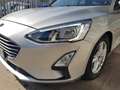 Ford Focus SW 1.5 ecoblue Business Co-pilot s&s 120cv auto - thumbnail 4