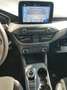 Ford Focus SW 1.5 ecoblue Business Co-pilot s&s 120cv auto - thumbnail 12