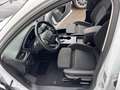Ford Focus Autom. Kamera PTS Navi Sihzg LED Blanc - thumbnail 10