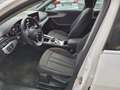 Audi A4 A4  Avant Av 35 tdi mhev Business 163cv s-tronic Bianco - thumbnail 15