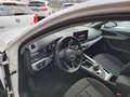 Audi A4 A4  Avant Av 35 tdi mhev Business 163cv s-tronic Bianco - thumbnail 14
