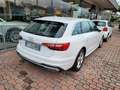 Audi A4 A4  Avant Av 35 tdi mhev Business 163cv s-tronic Bianco - thumbnail 3