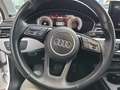 Audi A4 A4  Avant Av 35 tdi mhev Business 163cv s-tronic Bianco - thumbnail 13