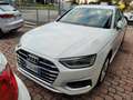 Audi A4 A4  Avant Av 35 tdi mhev Business 163cv s-tronic Bianco - thumbnail 1