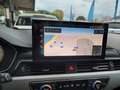 Audi A4 A4  Avant Av 35 tdi mhev Business 163cv s-tronic Bianco - thumbnail 8