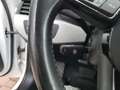 Audi A4 A4  Avant Av 35 tdi mhev Business 163cv s-tronic Bianco - thumbnail 11
