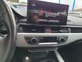 Audi A4 A4  Avant Av 35 tdi mhev Business 163cv s-tronic Bianco - thumbnail 10