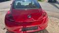 Volkswagen Beetle The Beetle 1.2 TSI CUP Rot - thumbnail 4