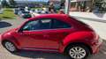 Volkswagen Beetle The Beetle 1.2 TSI CUP Rot - thumbnail 5