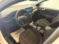 Ford Focus Focus V 2022 1.5 ecoblue ST-Line 115cv auto - thumbnail 8