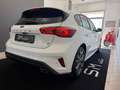Ford Focus Focus V 2022 1.5 ecoblue ST-Line 115cv auto - thumbnail 6