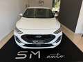 Ford Focus Focus V 2022 1.5 ecoblue ST-Line 115cv auto - thumbnail 3