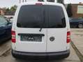 Volkswagen Caddy Kasten EcoProfi*HUneu*SH*Klima* Weiß - thumbnail 5