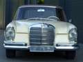 Mercedes-Benz 250 SE Cabriolet Beżowy - thumbnail 6