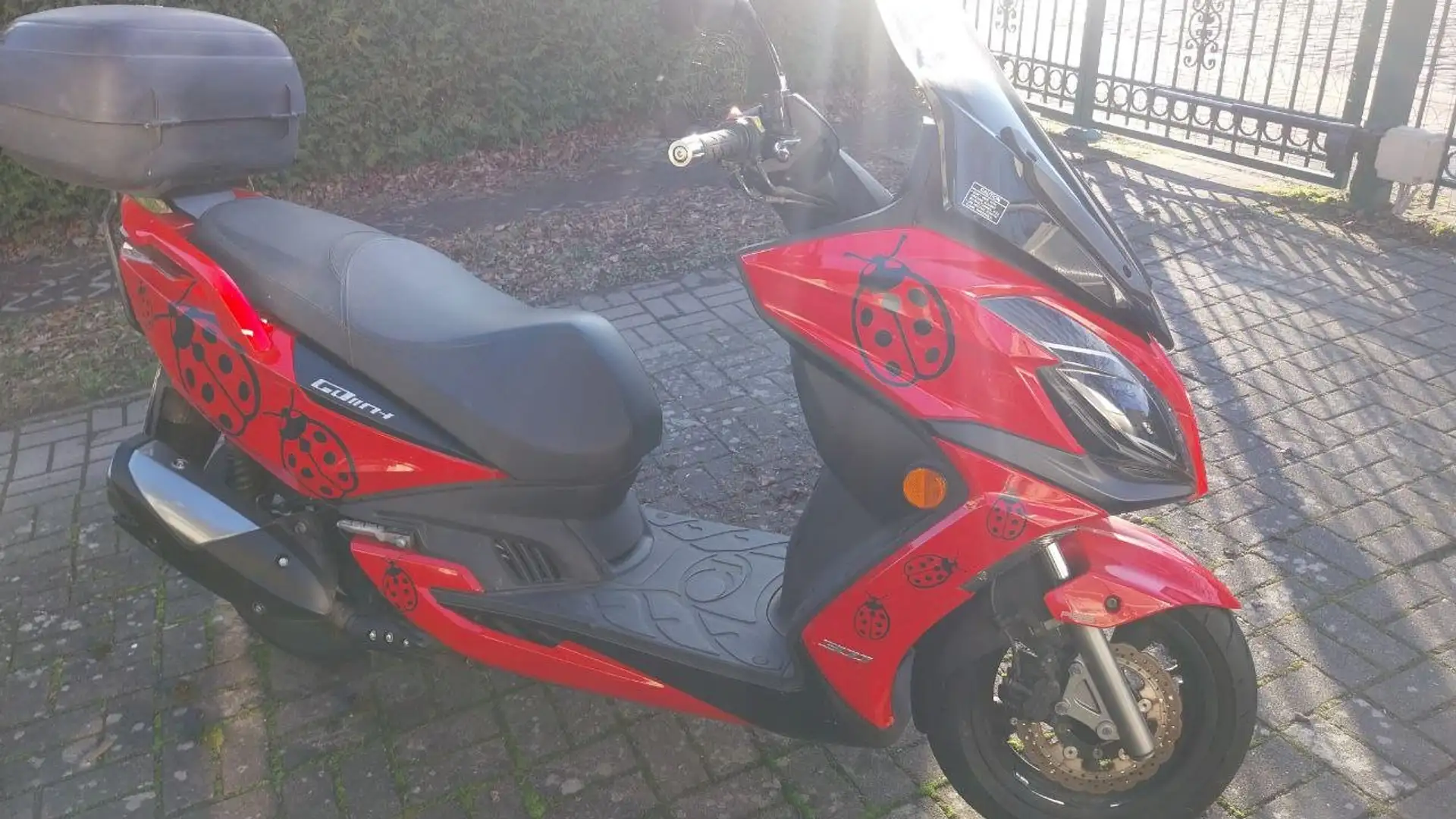 Kymco Grand Dink 300 G Dink Roşu - 1