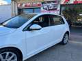 Volkswagen Golf 1.6 TDI 115CV 5p. Executive BMT Bianco - thumbnail 11