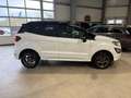 Ford EcoSport ST-Line KAMERA NAVI SHZ LKHZ Blanc - thumbnail 6