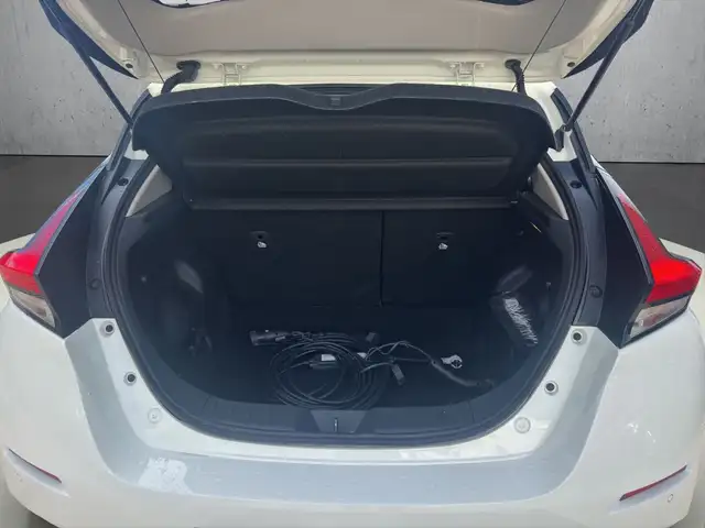 Nissan Leaf view 17