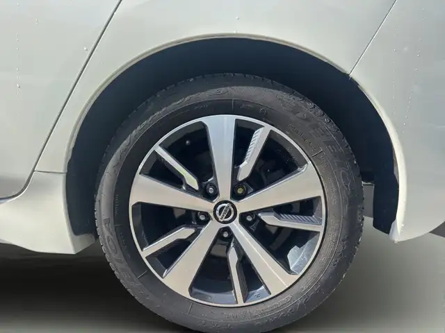 Nissan Leaf view 18
