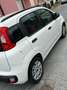 Fiat Panda Bianco - thumbnail 4
