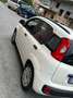 Fiat Panda Bianco - thumbnail 2
