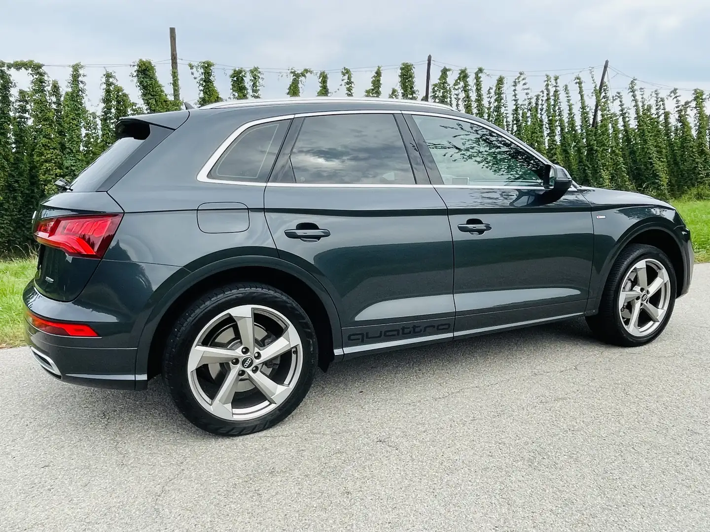 Audi Q5 2.0 TDI quattro S tronic sport - 2