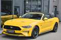 Ford Mustang Cabrio 5.0 Ti-VCT V8 GT Aut.* MagneRide* Gelb - thumbnail 21