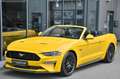 Ford Mustang Cabrio 5.0 Ti-VCT V8 GT Aut.* MagneRide* Gelb - thumbnail 2