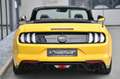 Ford Mustang Cabrio 5.0 Ti-VCT V8 GT Aut.* MagneRide* Gelb - thumbnail 27