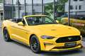 Ford Mustang Cabrio 5.0 Ti-VCT V8 GT Aut.* MagneRide* Gelb - thumbnail 3