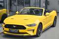 Ford Mustang Cabrio 5.0 Ti-VCT V8 GT Aut.* MagneRide* Gelb - thumbnail 28