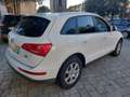 Audi Q5 2.0 tdi Advanced Plus quattro 190cv s-tronic Bianco - thumbnail 3