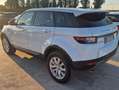 Land Rover Range Rover Evoque Range Rover Evoque  5p 2.0 td4 150cv auto Blanc - thumbnail 5