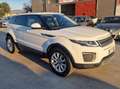 Land Rover Range Rover Evoque Range Rover Evoque  5p 2.0 td4 150cv auto Blanc - thumbnail 2