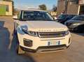 Land Rover Range Rover Evoque Range Rover Evoque  5p 2.0 td4 150cv auto Blanc - thumbnail 4