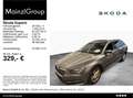 Skoda Superb Combi 2.0 TDI 4x4 DSG AHK Pano Stdhz Cant Grau - thumbnail 1