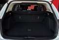 Ford Focus 1.5 EcoBlue 120 CV automatico SW Active Co-Pilot Bianco - thumbnail 13