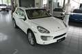 Porsche Cayenne Diesel Approved 21 Zoll PanoDach Deutsch Blanco - thumbnail 7