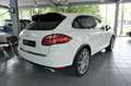 Porsche Cayenne Diesel Approved 21 Zoll PanoDach Deutsch Blanco - thumbnail 4