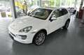 Porsche Cayenne Diesel Approved 21 Zoll PanoDach Deutsch Blanco - thumbnail 17