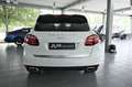 Porsche Cayenne Diesel Approved 21 Zoll PanoDach Deutsch Blanco - thumbnail 3