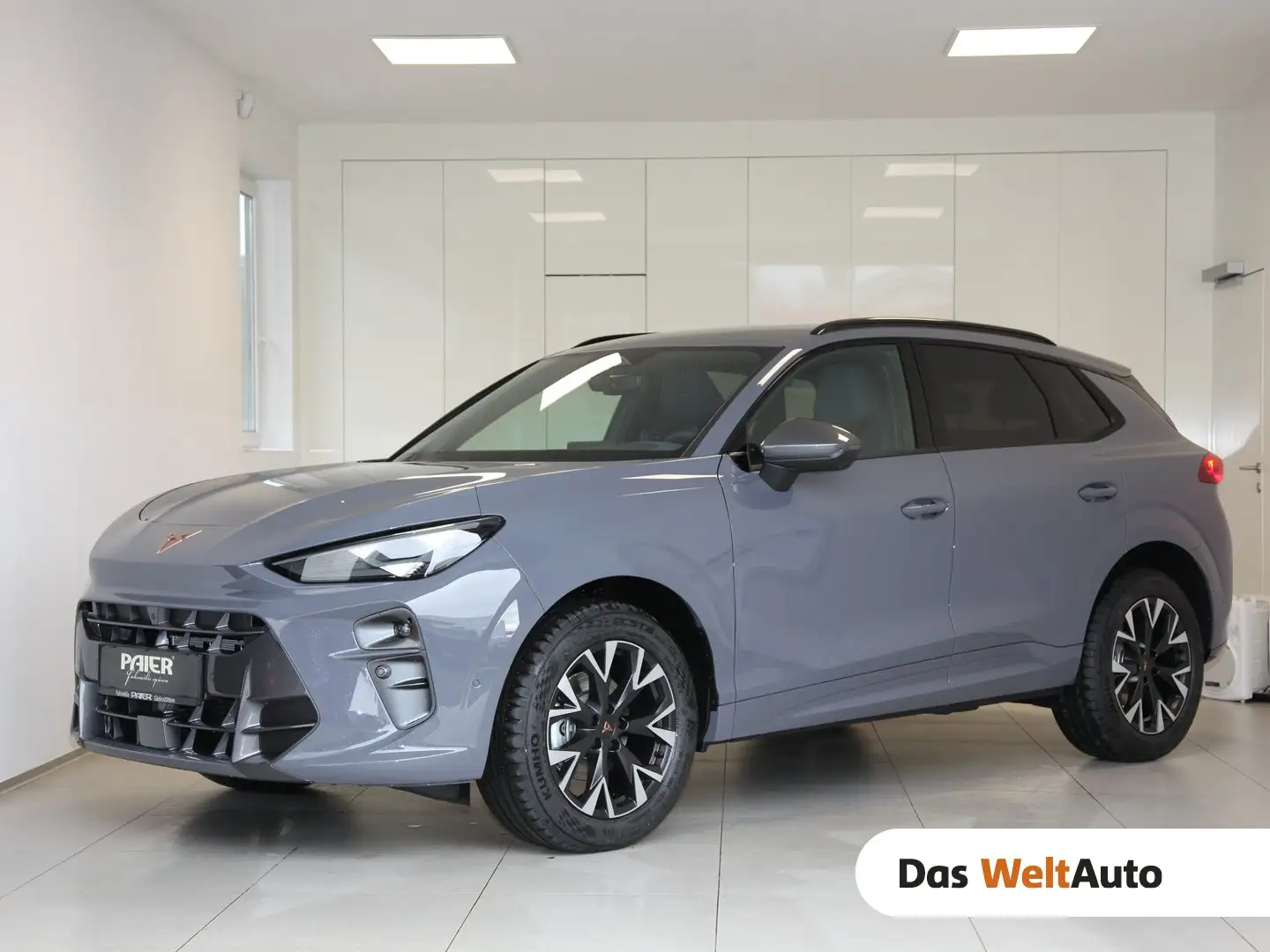 CUPRA Terramar ALPHA 1.5 e-TSI 150 PS DSG Grau - 1