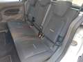 Ford Tourneo Connect 2022 5P TETTO APRI 1.5 ECOBLUE120CV SeS ACTIVE AUT Alb - thumbnail 8